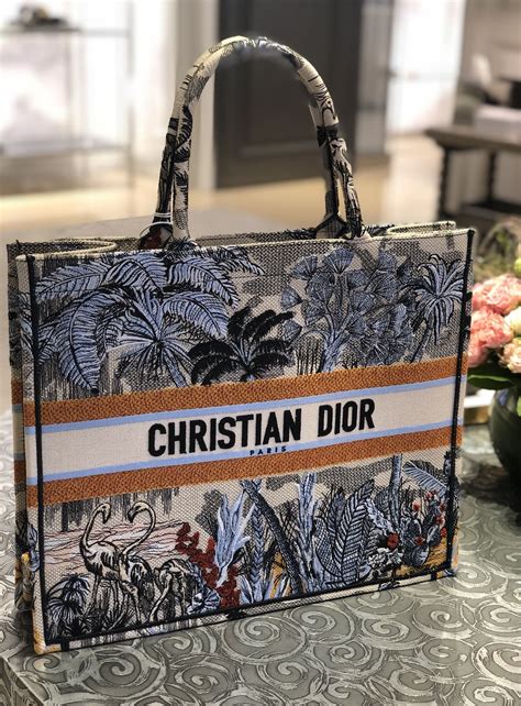 cristian dior bag